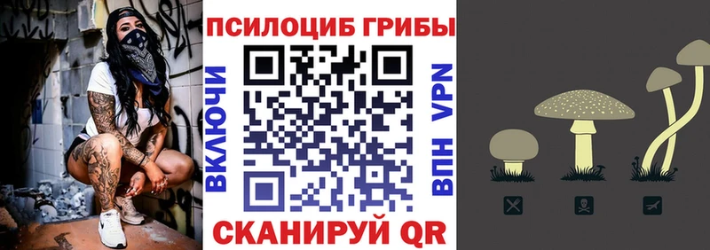 Псилоцибиновые грибы Psilocybe  Выкса 
